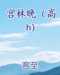 宫林晚（高h）