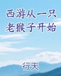西游从一只老猴子开始