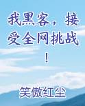 我黑客，接受全网挑战！在线阅读无弹窗