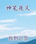 神笔夜叉推荐小说