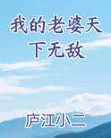 我的老婆天下无敌