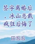 签字离婚后，冰山总裁疯狂后悔了