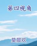 第四视角讲的什么